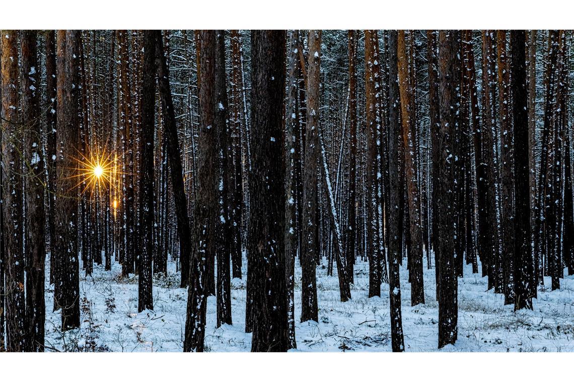 Im Winter muss der Körper auf die Vitamin-D-Speicher im Körper zugreifen. (Symbolbild)