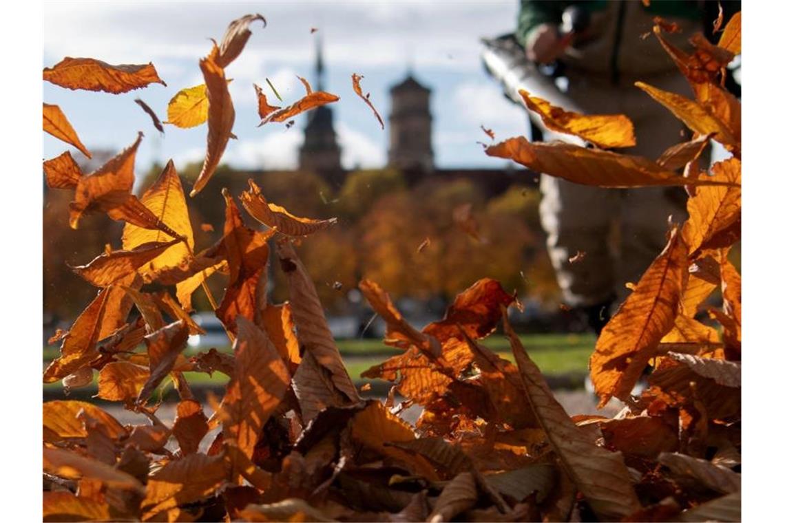 Viel Herbstsonne im Südwesten und dennoch Kälterekord Im Zoologisch-Botanischen Garten Wilhelma wird Herbstlaub mit einem Laubbläser zusammengetragen. Foto: Marijan Murat/dpa/Archivbild