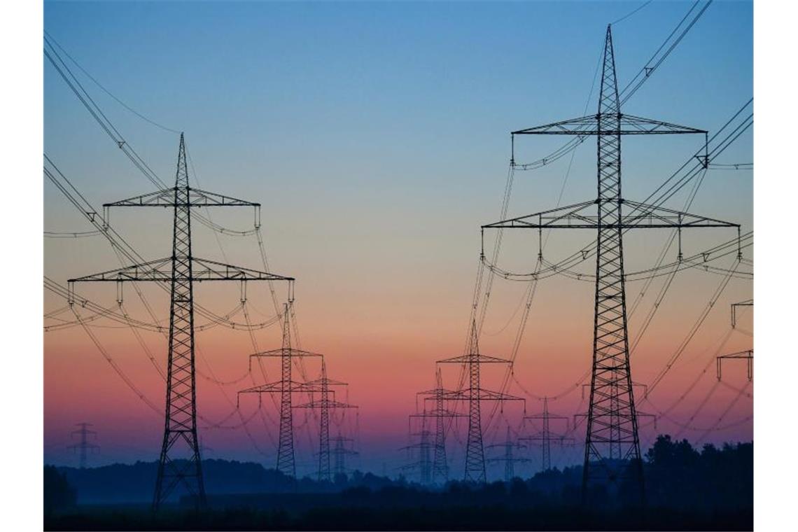 Im Zuge der Energiewende müssen noch Tausende Kilometer Leitungen neu gebaut oder umgebaut werden. Foto: Patrick Pleul/dpa-Zentralbild/dpa