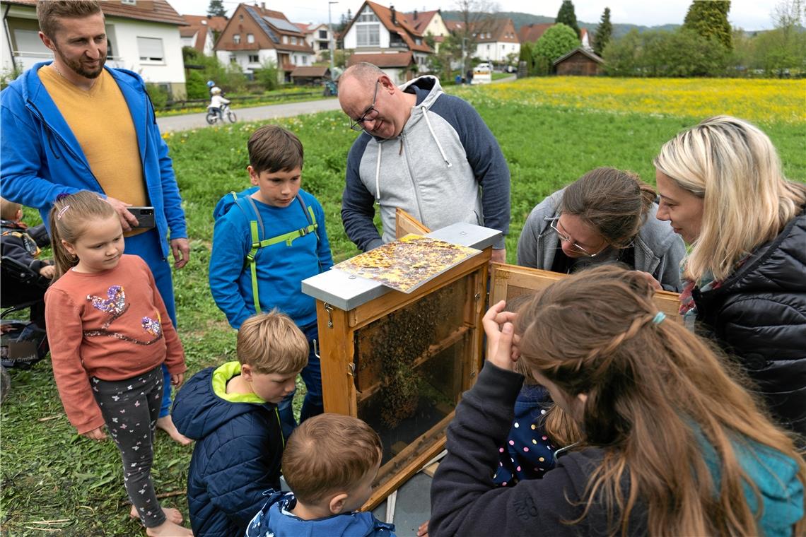 Imker und Bienen 