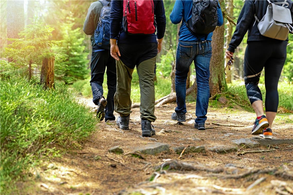 Morgen geht’s los: Wandern mit der BKZ in Althütte Immer freitags heißt es ab jetzt: Wanderschuhe schnüren und zu Fuß die Region erkunden. Symbolbild: ronstik - stock.adobe.com