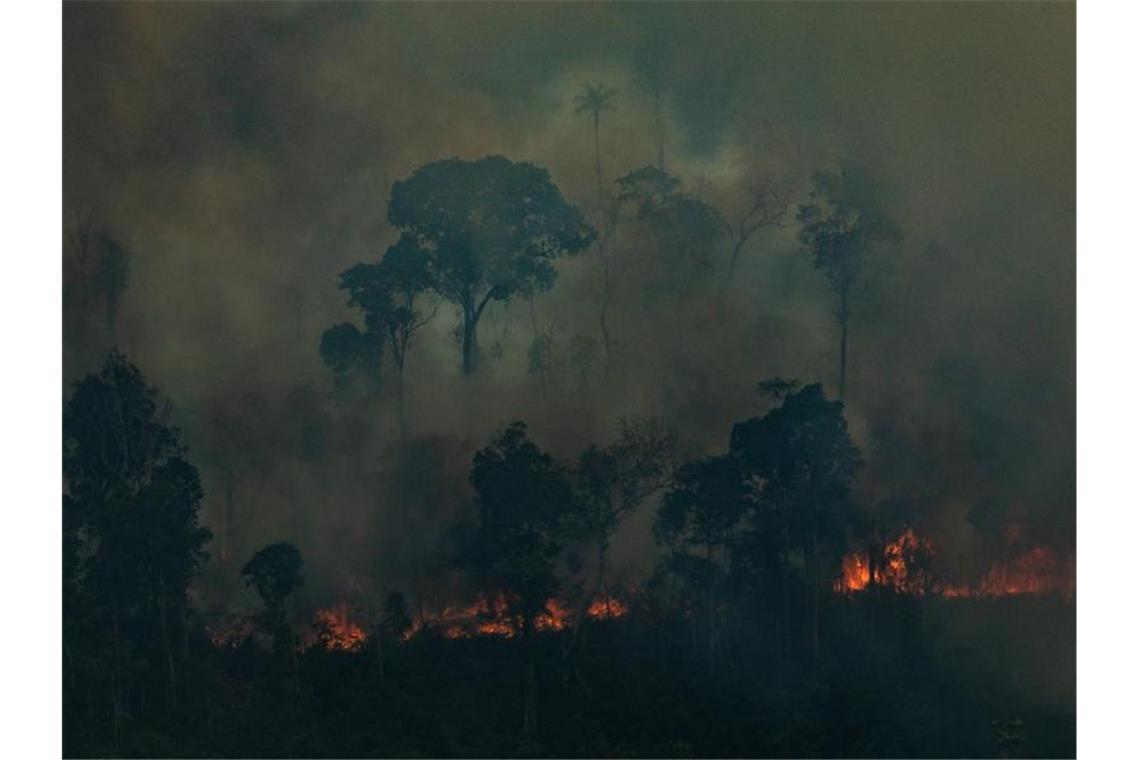 Soldaten bekämpfen Flammen im brasilianischen Regenwald