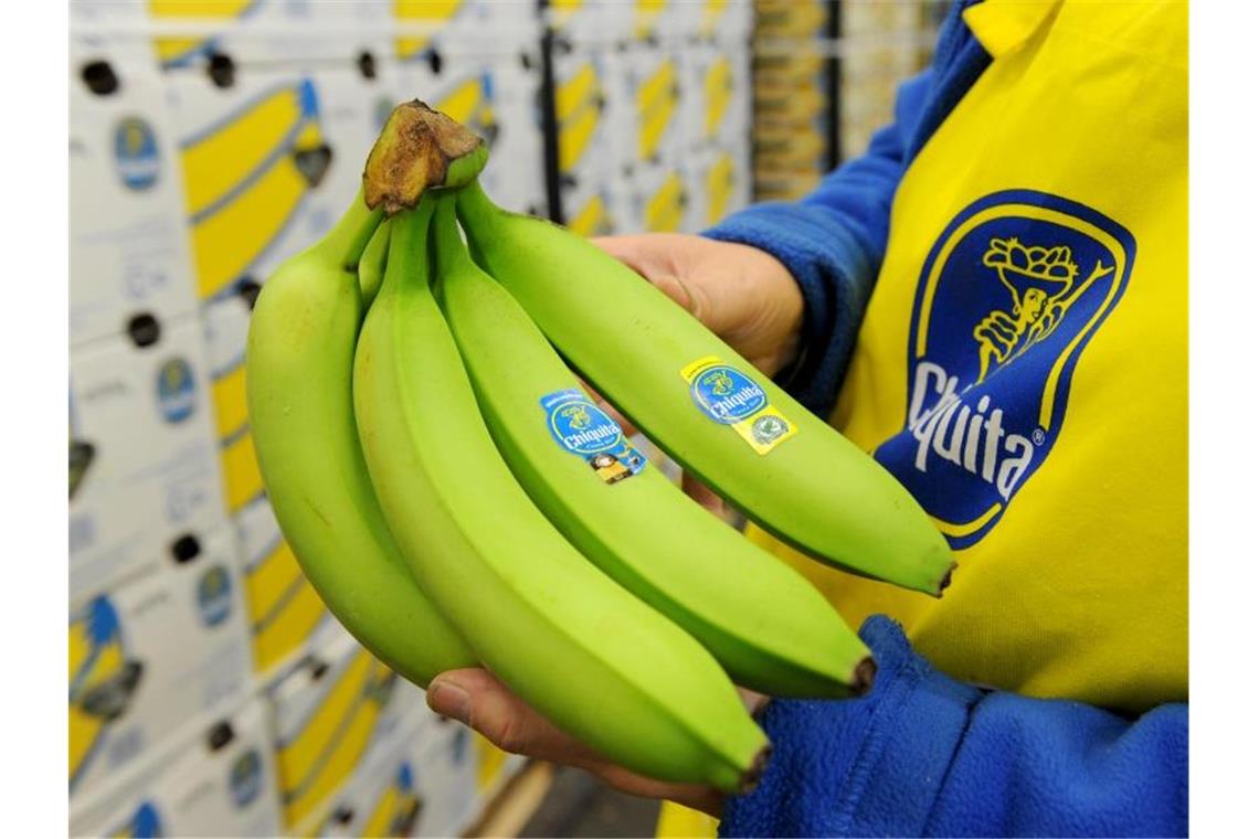 Lebensmittelhändler wollen Lieferketten transparent machen Immer mehr Verbraucher wollten wissen, wie ihre Lebensmittel produziert werden. Foto: picture alliance / dpa