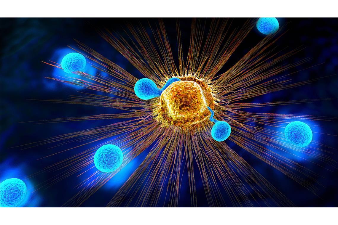 Schützt Vitamin D vor Krebs? Immunsystem im Kampf gegen Krebszellen.
