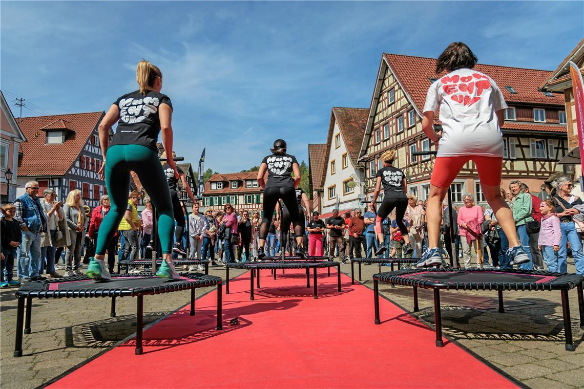 Impressionen vom Murrhardter Frühling 2025.