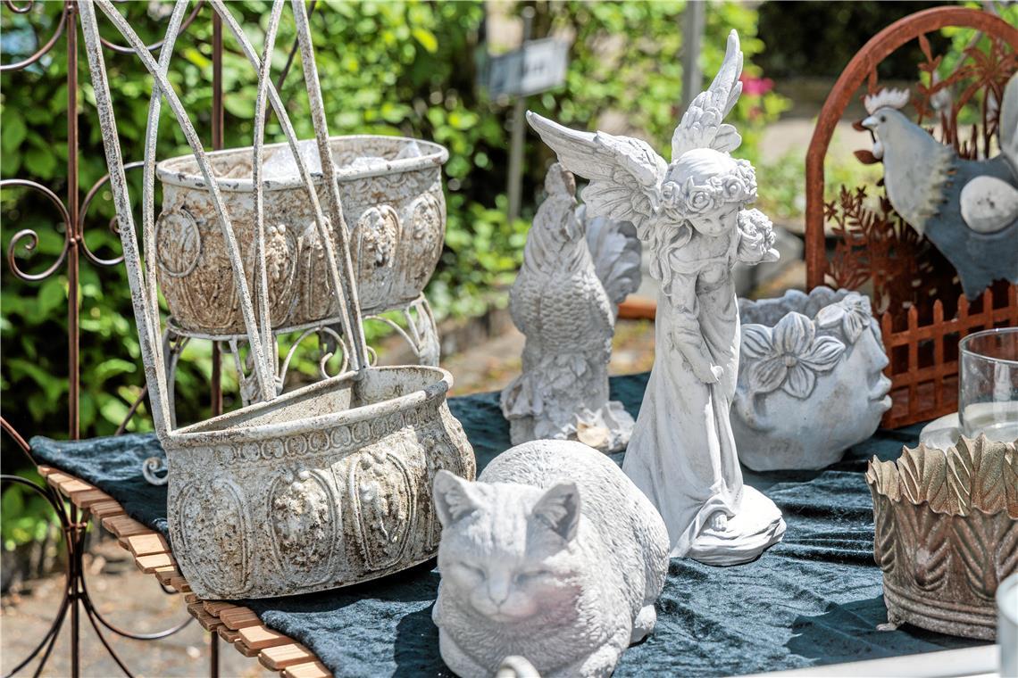 Impressionen vom Murrhardter Frühling 2026.