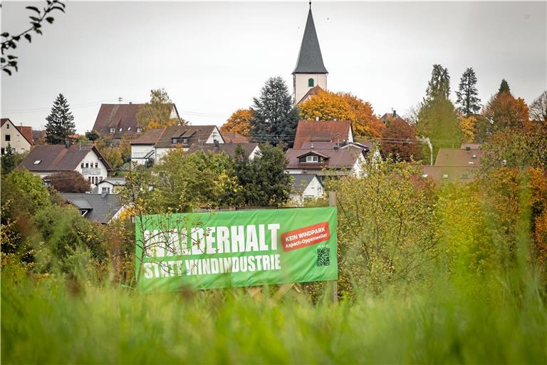 In Aspach erfährt der geplante Windpark auf der Amalienhöhe eine Menge Gegenwind. Hier hat sich bereits vor Jahren die Bürgerinitiative „Walderhalt statt Windindustrie“ formiert. Foto: Alexander Becher