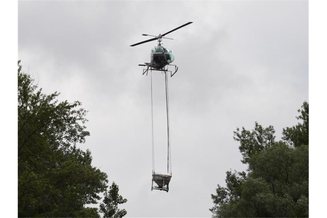 In Au am Rhein ist ein Hubschrauber im Einsatz, um mit einem biologischen Mittel Stechmücken zu bekämpfen. Foto: Uli Deck/Archivbild