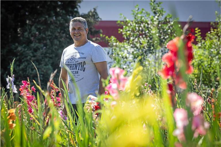 In Backnang kann man in der Sulzbacher Straße und am Heininger Kreisel auf Andreas Häußermanns Wiesen seine Blumen selbst pflücken. Fotos: Alexander Becher