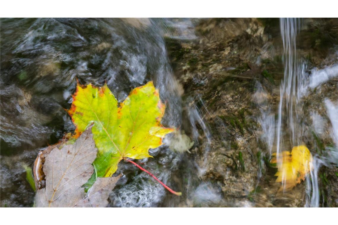 Schauer und Sturmböen statt goldener Herbststimmung In Baden-Württemberg beginnt die neue Woche trüb und regnerisch.