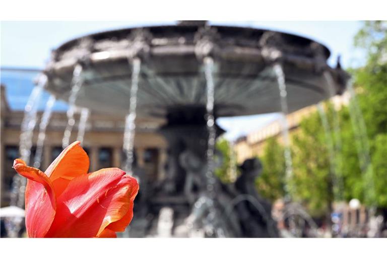 In Baden-Württemberg wird es in den kommenden Tagen sonnig.
