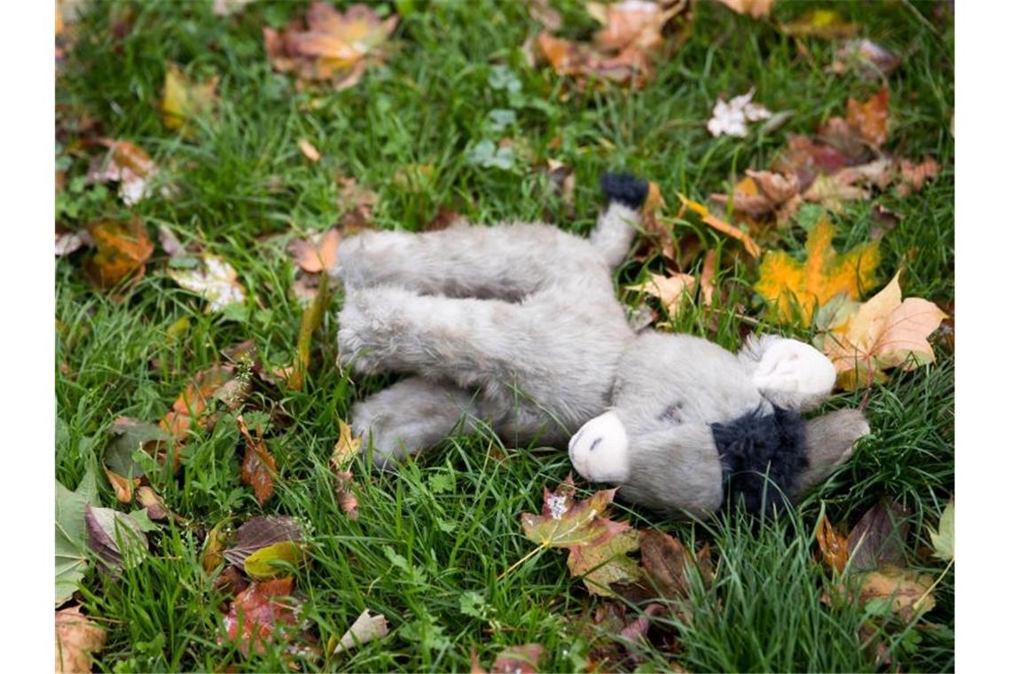 Großrazzia gegen Verbreiter von Kinderpornografie in Berlin In Berlin läuft eine Razzia gegen Verbreiter von Kinderpornografie (Symbol). Foto: Daniel Karmann/dpa