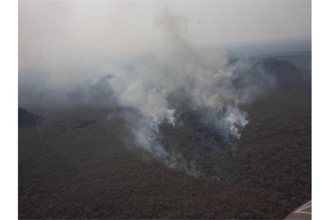 In Brasilien brennt der Regenwald. Vor diesem Hintergrund ist das Freihandelsabkommens zwischen EFTA und Mercosur kritisiert worden. Foto: Gaston Brito