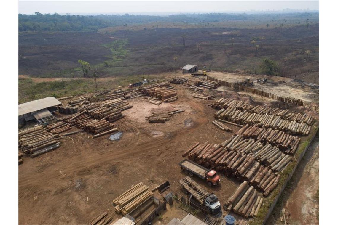 Kampf gegen Entwaldung: Klimaschützer fordern Abkommen In Brasilien geht die Abholzung im Amazonasgebiet bisher in großem Maßstab weiter. Foto: Andre Penner/AP/dpa