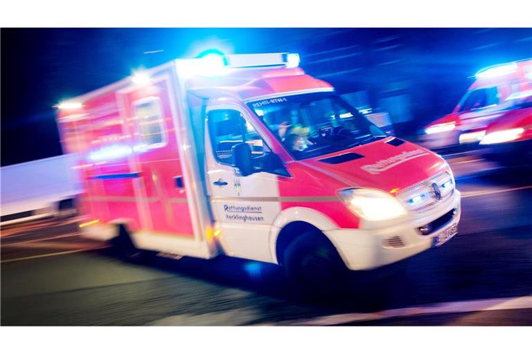 In Delbrück im Kreis Paderborn musste der Notarzt eine Frau nach einem Tigerbiss behandeln. (Symbolbild)