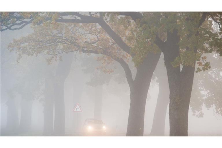 In den allermeisten Ecken Deutschlands bleibt es auch in den kommenden Tagen weitgehend trüb, etwas Hoffnung auf Sonne gibt es für den Südwesten.