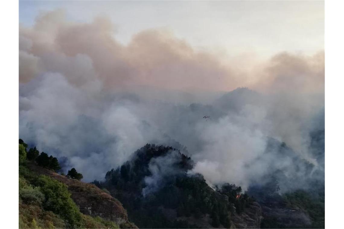 In den Bergen auf Gran Canaria ist erneut ein schwerer Waldbrand ausgebrochen. Foto: Europa Press/Europa Press