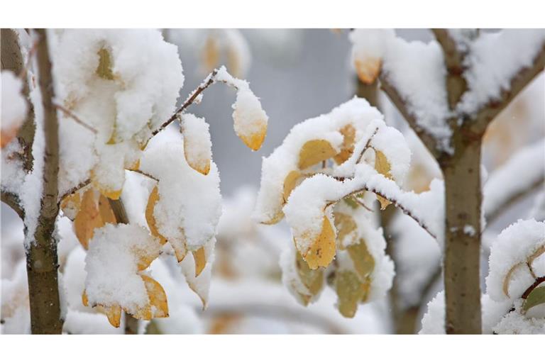 In den ersten Regionen klopft zum Beginn der Woche der Winter mit Schneefällen an (Archivbild).