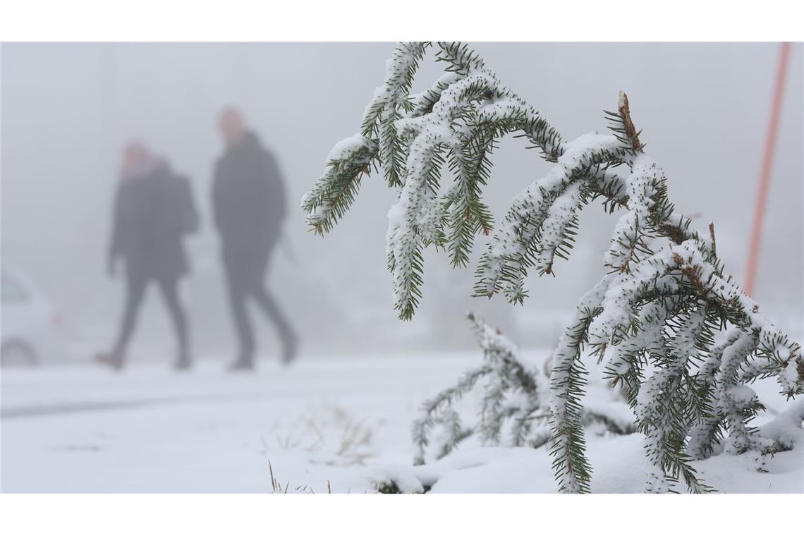 In den Mittelgebirgen wie dem Harz wird am Mittwoch Neuschnee erwartet.