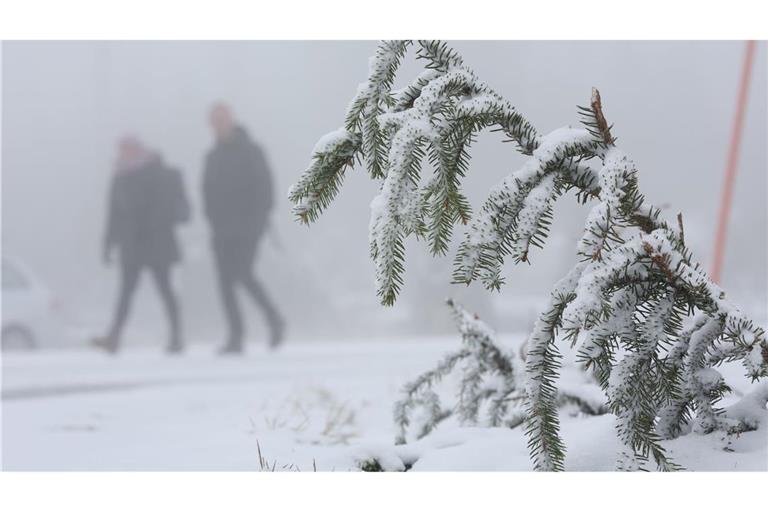 In den Mittelgebirgen wie dem Harz wird am Mittwoch Neuschnee erwartet.