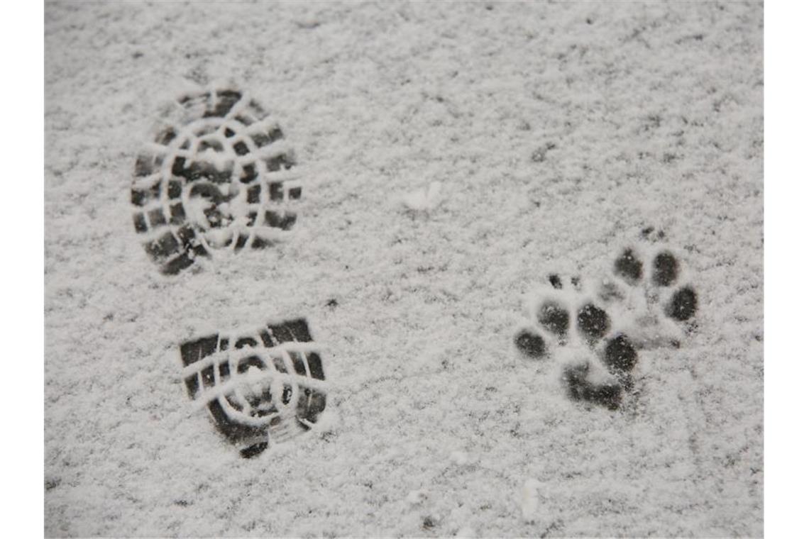 Kurzer Wintereinbruch in Deutschland erwartet In den Mittelgebirgen wie hier auf dem Brocken im Harz hat es bereits Mitte des Monats ersten Schneefall gegeben. Foto: Matthias Bein/dpa-Zentralbild/dpa