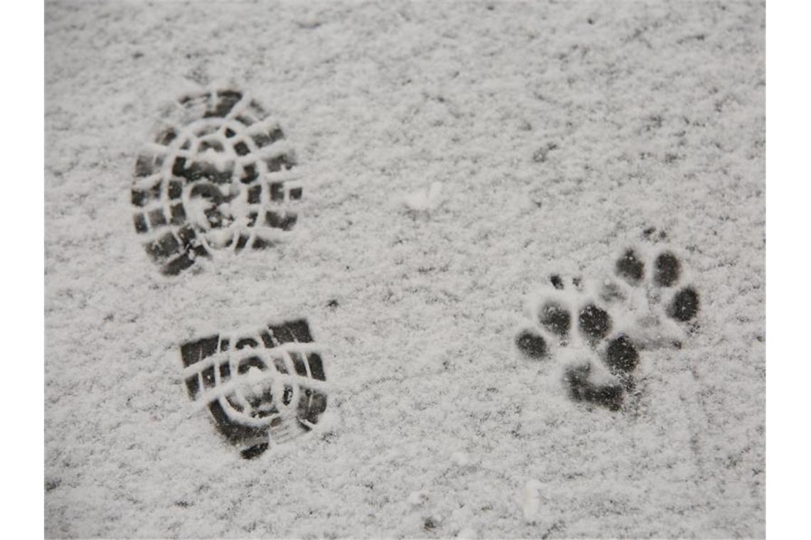 Kurzer Wintereinbruch in Deutschland erwartet