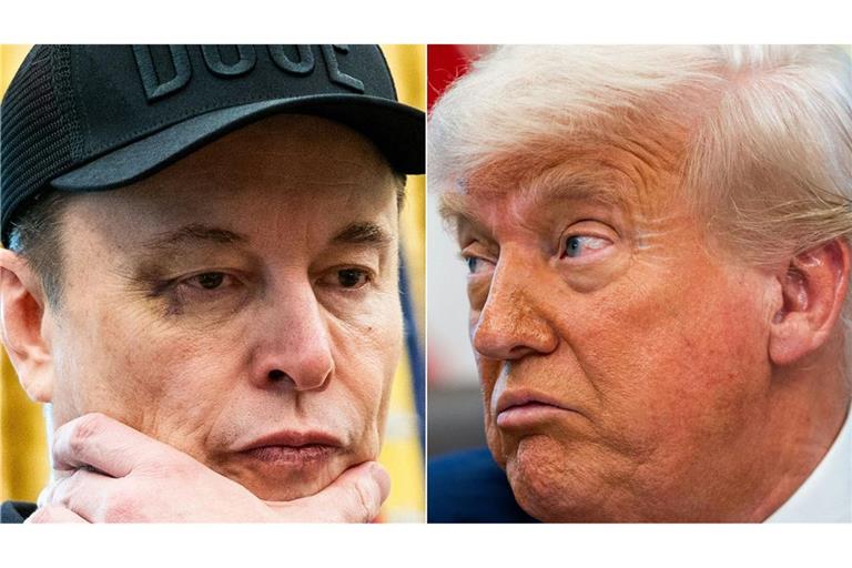 In den sozialen Netzwerken geht der Streit zwischen Elon Musk und Donald Trump viral. (Archivfoto)