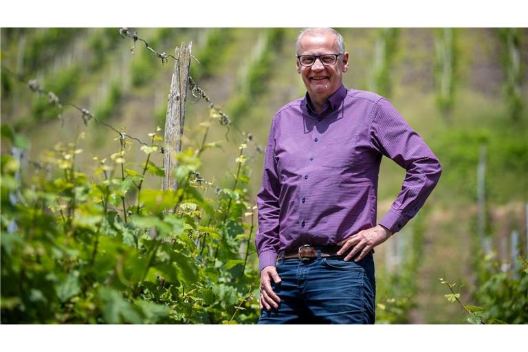 In den Weinbergen wächst ausschließlich Riesling.