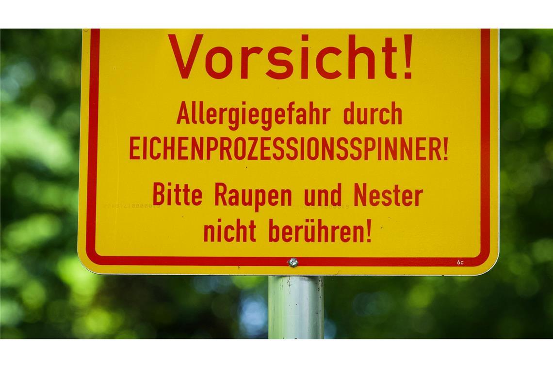 In der Berliner Hasenheide wird vor dem Eichenprozessionsspinner gewarnt.