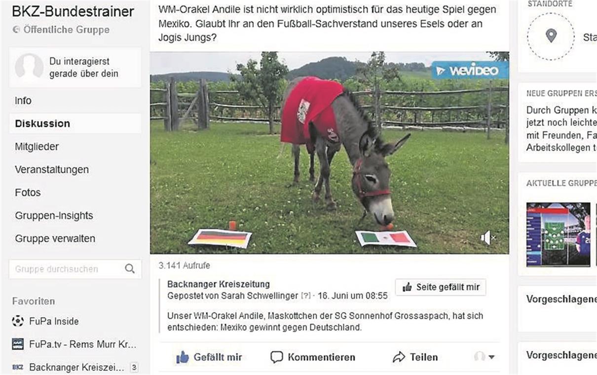 Kritik und Tipps für Löw und seine Jungs In der Facebook-Gruppe wird unter anderem auch über das WM-Orakel Andile diskutiert.