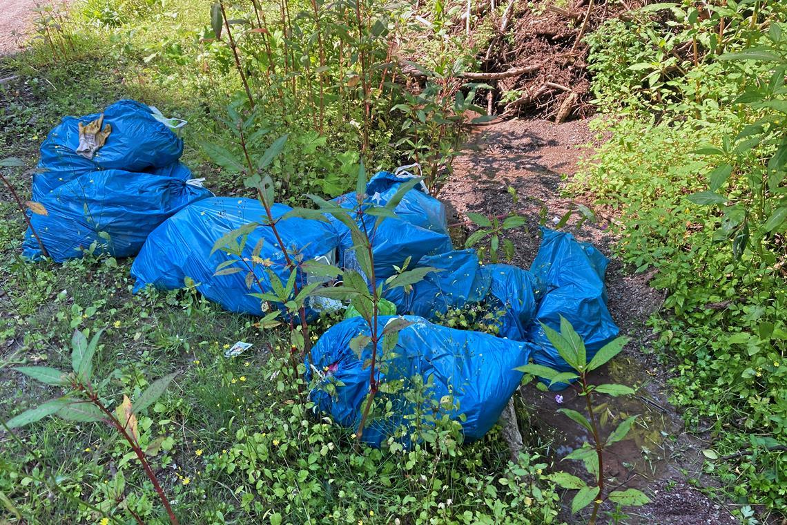 Ärger mit Müll im Schwäbischen Wald In der Franzenklinge in Murrhardt wurden Säcke voller Müll abgeladen. Fotos: privat