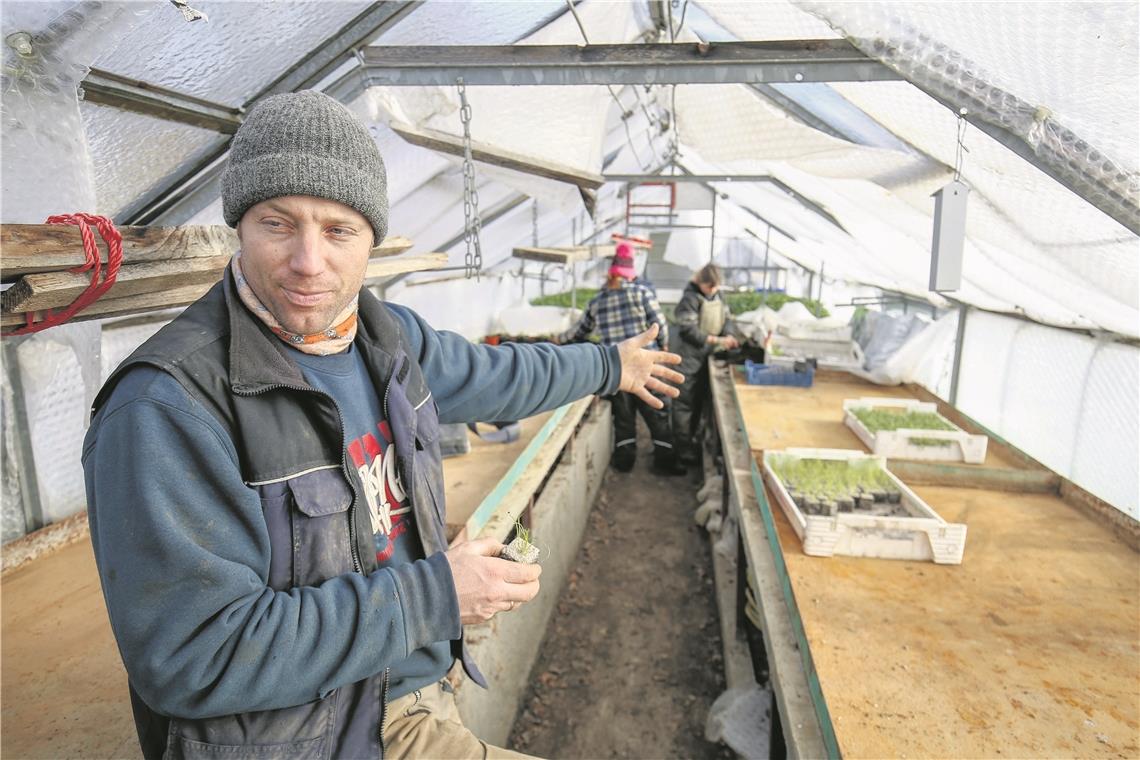 In der Gärtnerei von Florian Keimer wird beim Anbau komplett auf den Einsatz chemischer Mittel und Mineraldünger verzichtet. Fotos: A. Becher