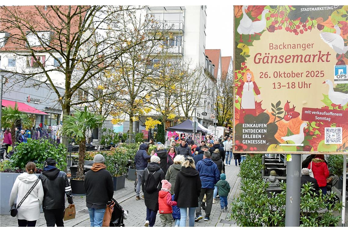 In der Grabenstraße. Backnanger Gänsemarkt 2025.
