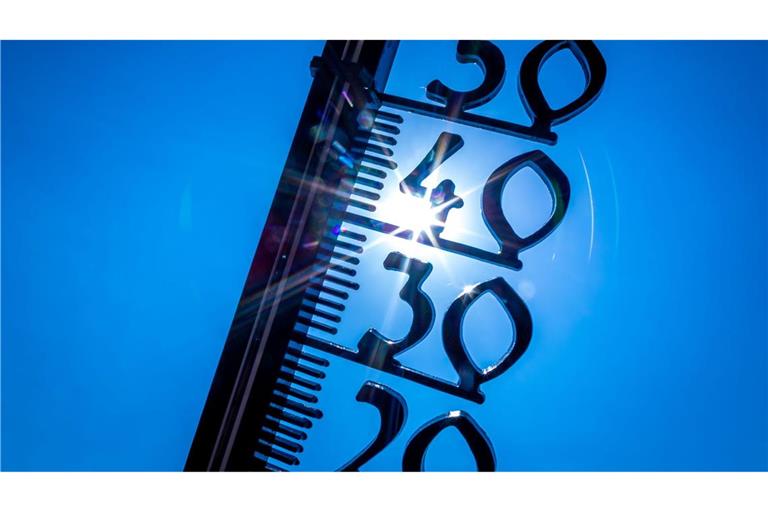 In der kommenden Woche soll es sommerlich werden.