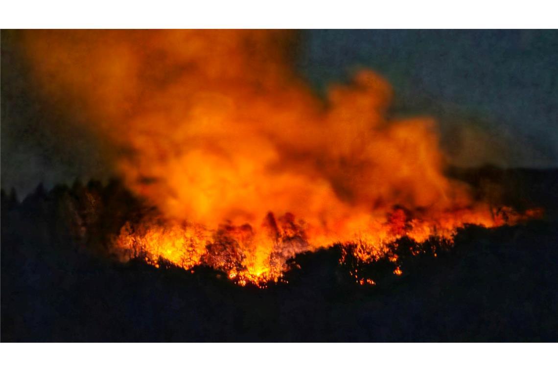 In der Nacht brannte es lichterloh in dem Waldgebiet in Rheinland-Pfalz.