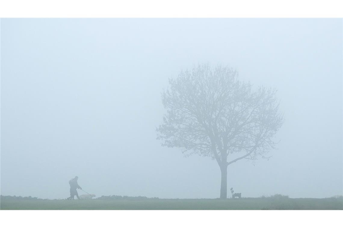 In der Nacht zum Dienstag rechnen DWD-Meteorologen an Rhein, Donau und Bodensee erneut mit viel Nebel oder Hochnebel. (Symbolbild)