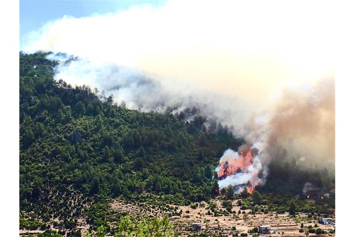 In der Nähe der Stadt Manavgat in der türkischen Provinz Antalya steigt dichter Rauch auf. Foto: -/Xinhua/dpa