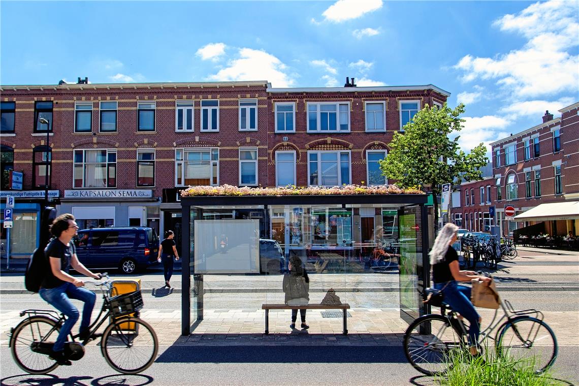 Wenn die Bushäuschen erblühen In der niederländischen Stadt Utrecht wurden seit April 2019 bereits 316 Bushäuschen begrünt. Foto: Stadtverwaltung Utrecht