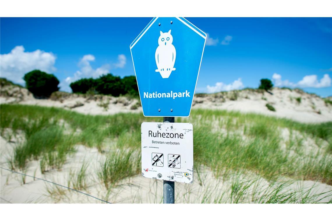 Mann scheucht für besondere Fotos 20 Seehunde auf In der Ruhezone des Nationalparks Niedersächsisches Wattenmeer gelten die strengsten Schutzbestimmungen. (Archivbild)