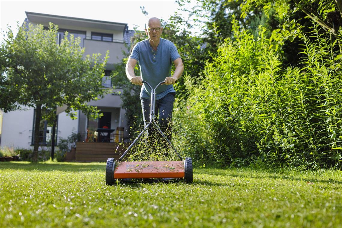In der Übergangszeit bis zum Winter lohnt es sich, die Fläche wieder in Schuss zu bringen. So ist der grüne Teppich im Garten für die kalten Tage gestärkt und kommt im Frühling schnell wieder zu Kräften.(Symbolbild)