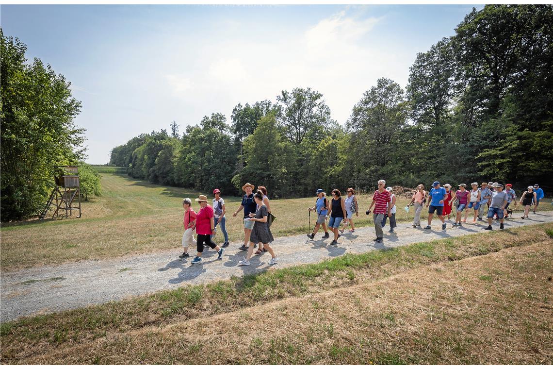 In der Vorwoche fand der BKZ-Wandertag in Backnang statt. Foto: Alexander Becher