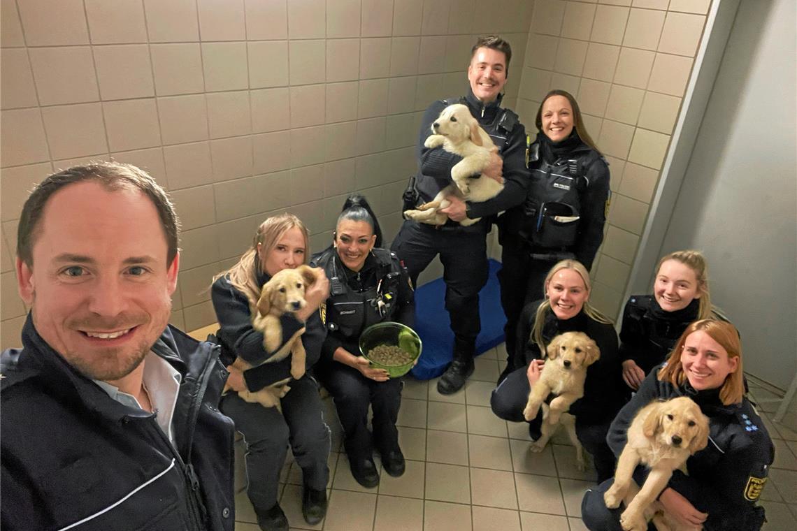 Polizei sammelt Welpen in Allmersbach im Tal auf In der Zelle bekommen die Welpen erstmal eine ordentliche Portion Futter. (Foto: Polizeipräsidium Aalen)