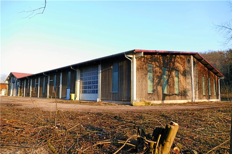In die ehemalige Holzwollefabrik an der Uferstraße soll der Sulzbacher Bauhof einziehen. Foto: Ute Gruber