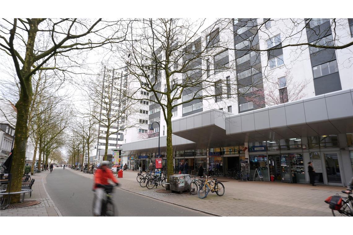 Nach Angriff: Wolf ist in Wildtierstation in Niedersachsen