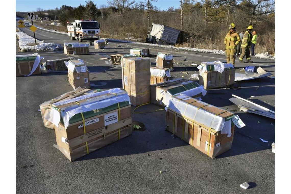 In diesem Kisten wurden die Tiere transportiert. In den Unfall in der Nähe des Ortes Danville war ein mit rund hundert Affen beladener Lastwagen verwickelt. Foto: Jimmy May/Bloomsburg Press Enterprise/AP/dpa