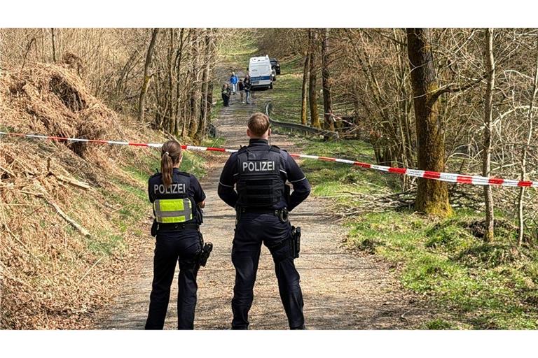 In diesem Waldstück wurde der Kopf der getöteten Frau gefunden. (Archivbild)