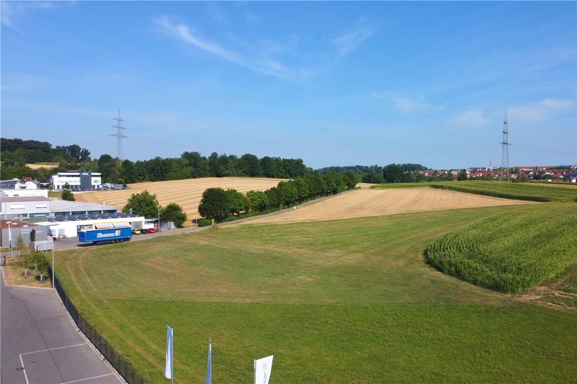 In drei Jahren kann die Stadt mit der nördlichen Erweiterung des Gebiets Mühläcker Firmen neue Flächen zur Verfügung stellen. Das Gebiet wird im Westen begrenzt von der Bahnlinie und im Osten von der künftigen B-14-Trasse. Es reicht von der jetzigen Bebauung von Waldrems (Spedition Ulmschneider) bis auf die Kuppe (Hochspannungsleitung) vor Maubach. Foto: Werner Kuhnle