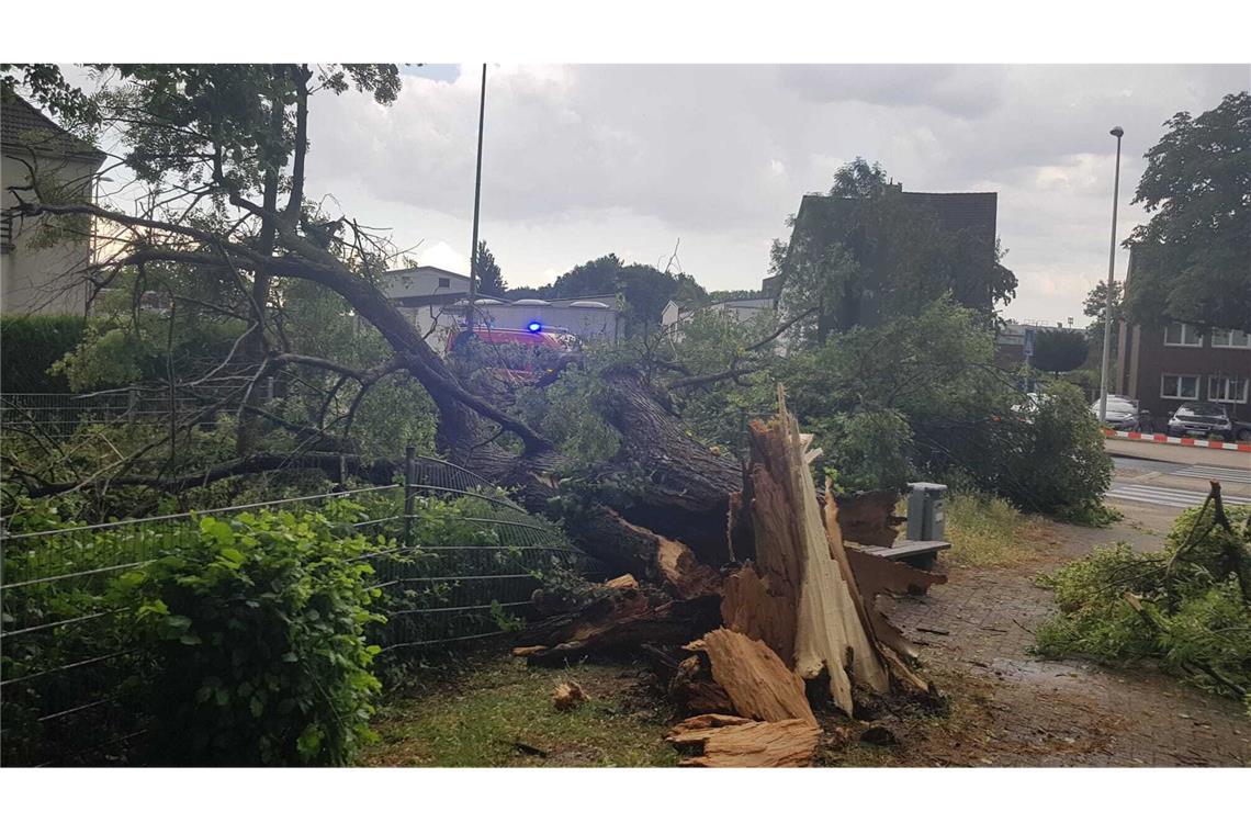 In Düren hinterließ das Unwetter ein Bild der Verwüstung.