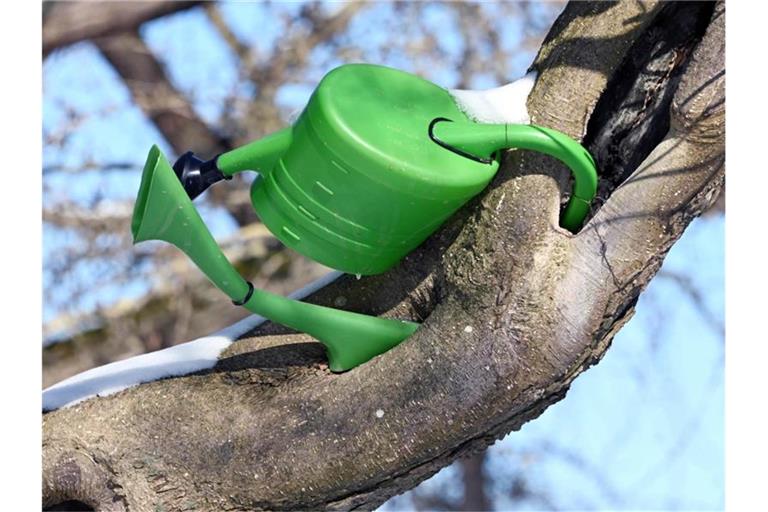 In einem Baum im Botanischen Garten hängt eine grüne Gießkanne. Foto: Uli Deck/dpa