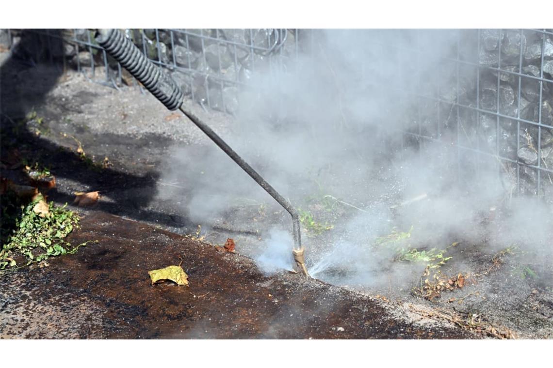 In einem Bereich des Karlsruher Stadtteil Neureut wird vom Gartenbauamt Karlsruhe mit einem Heißwasserdampfgerät die Ameisenart „Tapinoma magnum“ bekämpft.